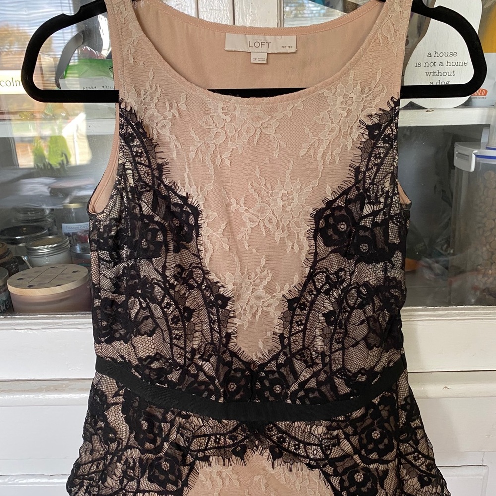Black and Tan Blouse from Loft